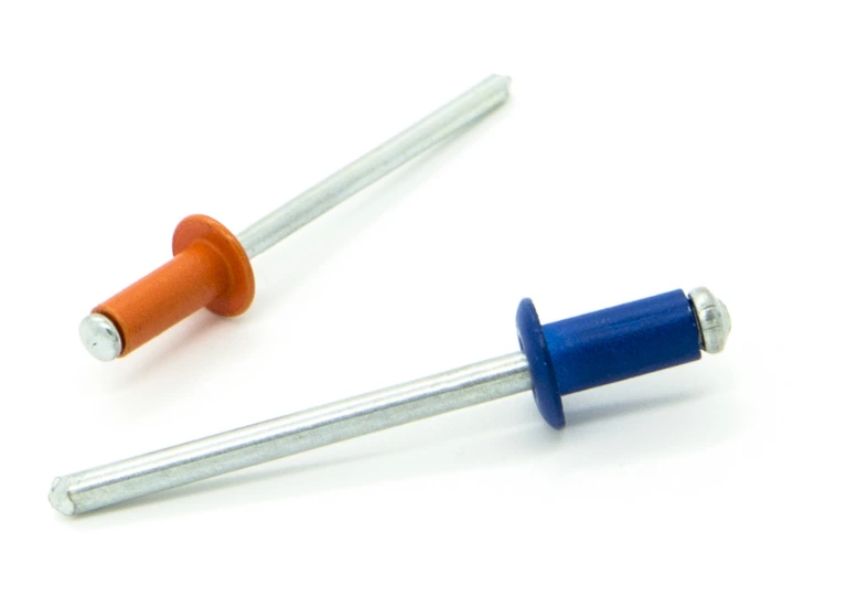 CABEZA ALOMADA PINTADO