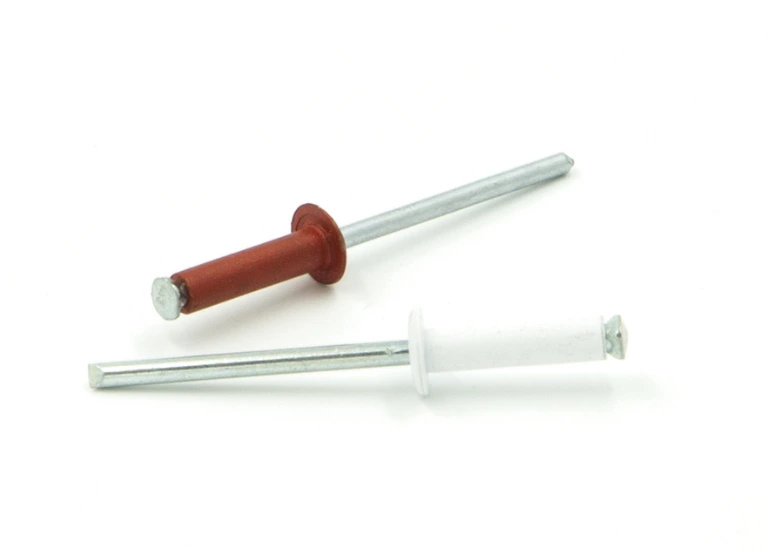 CABEZA ALOMADA PINTADO