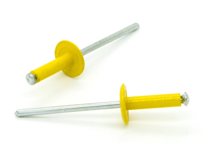 CABEZA GRANDE PINTADO